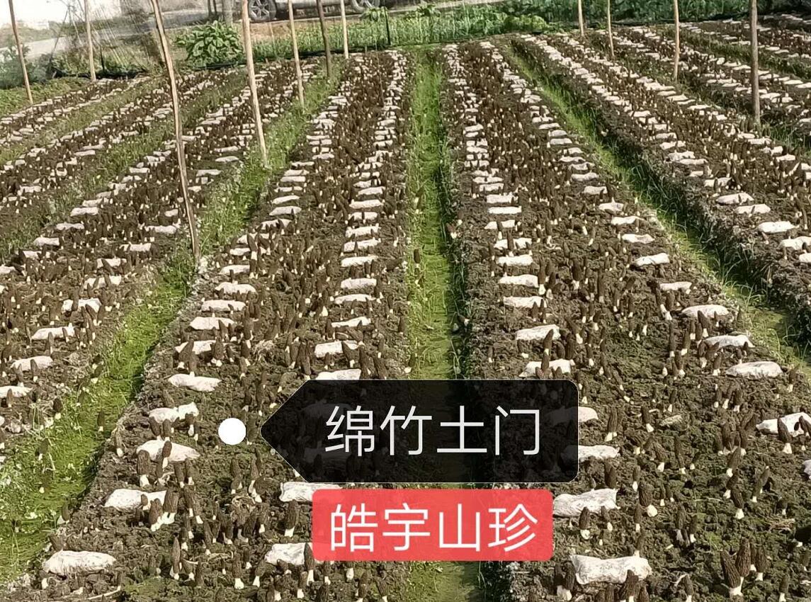 &#74;&#57;&#24179;&#21488;&#45;&#74;&#57;&#40;&#20013;&#22269;&#41;&#19968;&#31449;&#24335;&#26381;&#21153;&#24179;&#21488;